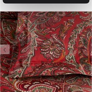 Set f 2 Euro Shams- Pottery Barn Caroline Paisley Organic Cotton Shams